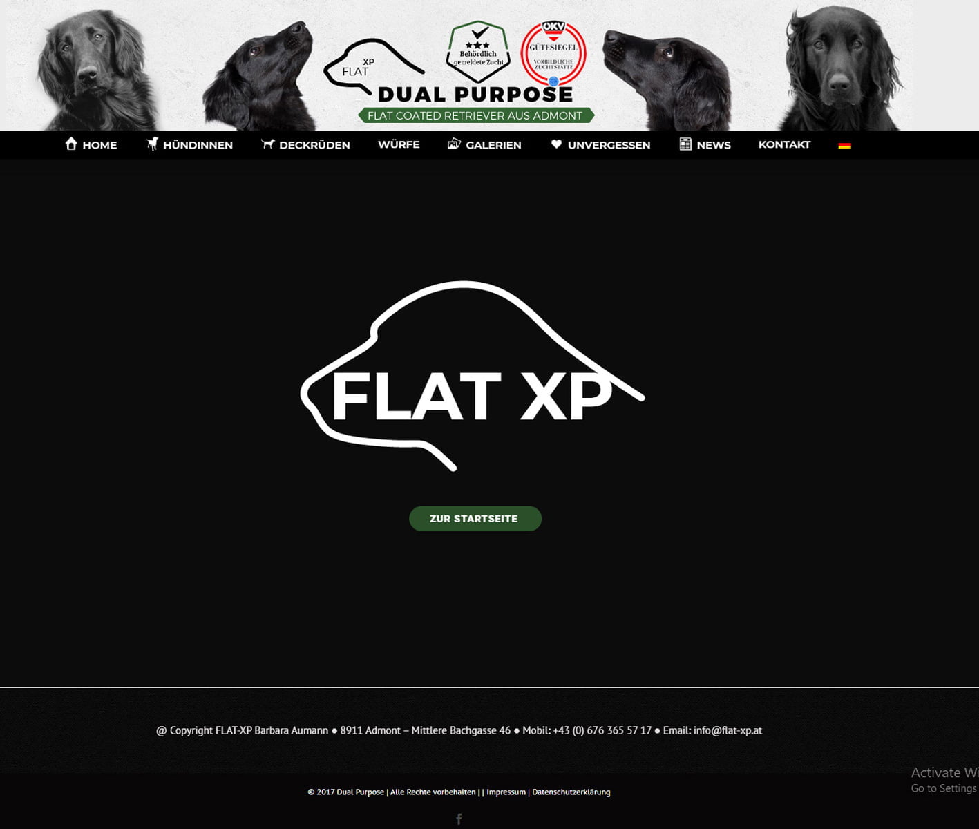 Webdesign flat xp preview